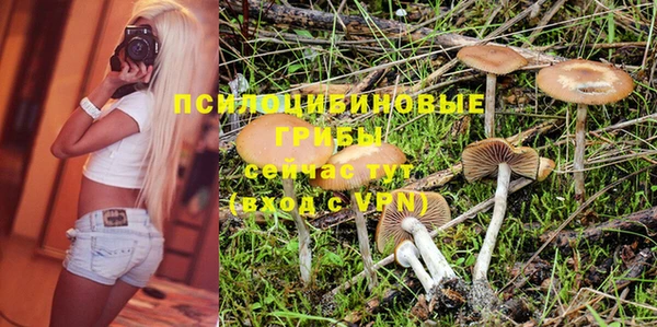 ГАЛЛЮЦИНОГЕННЫЕ ГРИБЫ Лихославль