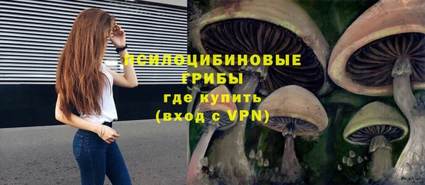 ГАЛЛЮЦИНОГЕННЫЕ ГРИБЫ Лихославль
