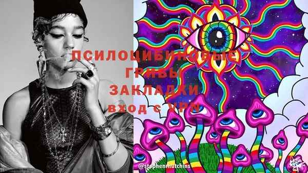 ГАЛЛЮЦИНОГЕННЫЕ ГРИБЫ Лихославль